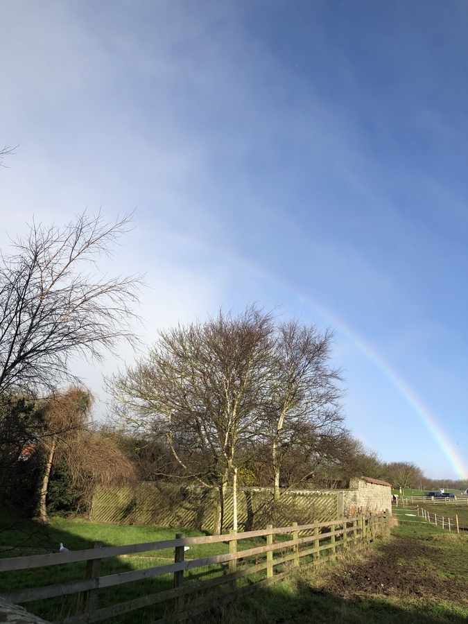 Filey Country Park